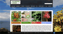 Desktop Screenshot of giuseppelimido.com