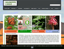 Tablet Screenshot of giuseppelimido.com